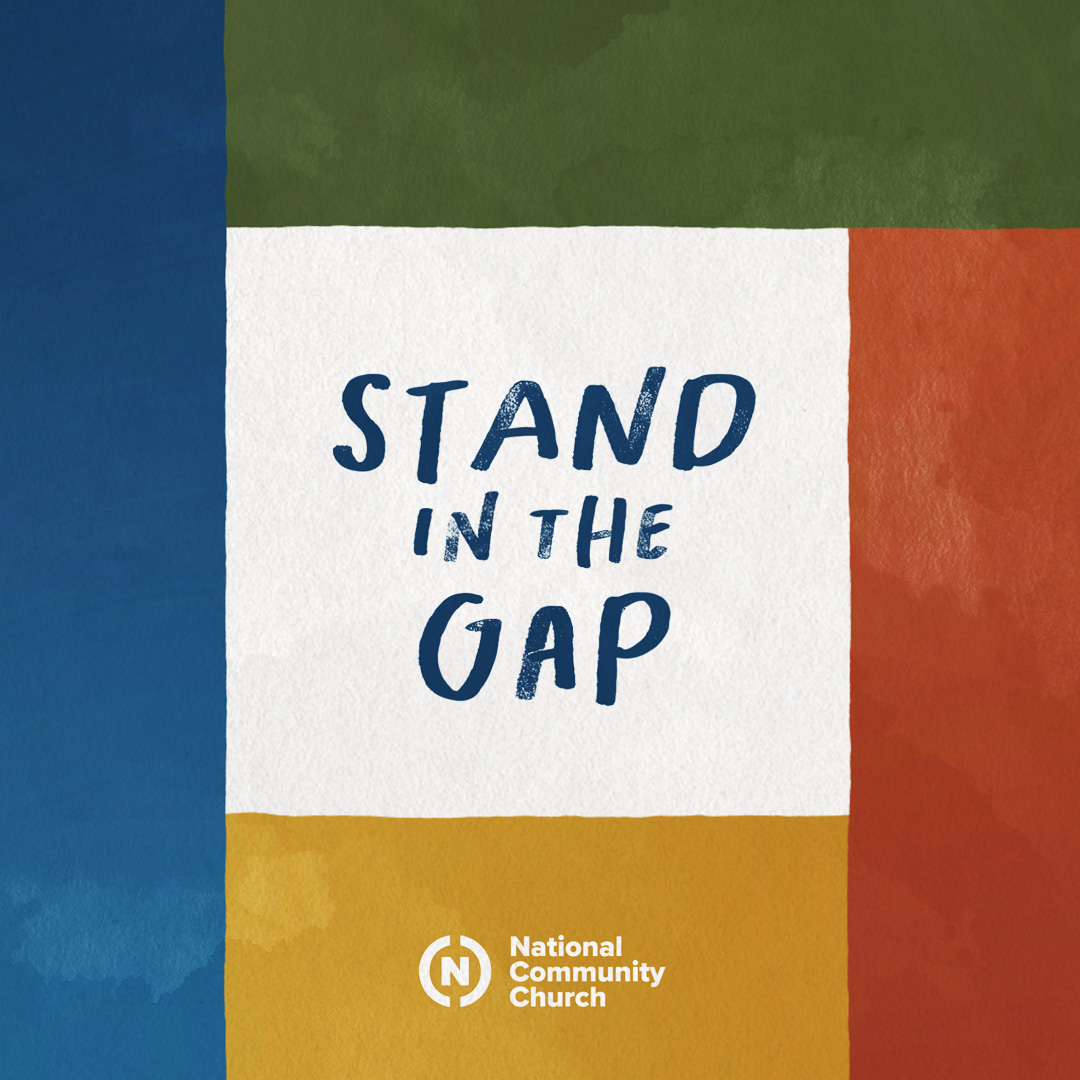 Stand in the Gap Cover Image